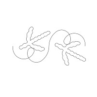 turkey tracks border 001